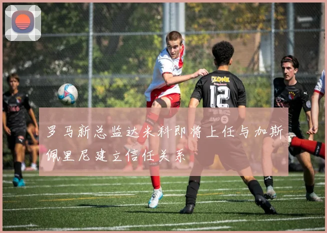 罗马新总监达米科即将上任与加斯佩里尼建立信任关系