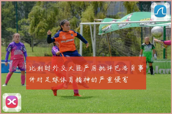 比利时外交大臣严厉批评巴洛贡事件对足球体育精神的严重侵害