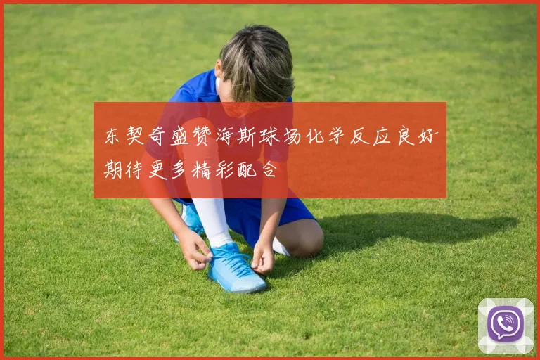 东契奇盛赞海斯球场化学反应良好期待更多精彩配合